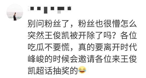 四个字网红吃瓜网名怎么取,揭秘网络热点背后的故事